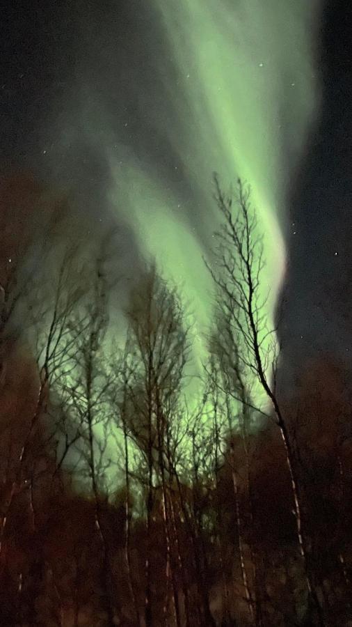 Stor Hytte I Olderfjord Villa Russenes Екстериор снимка